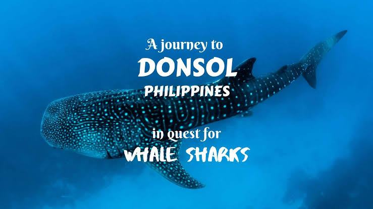 Donsol